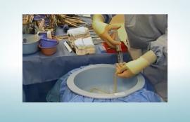 Flushing the ProCol Bioprosthesis
