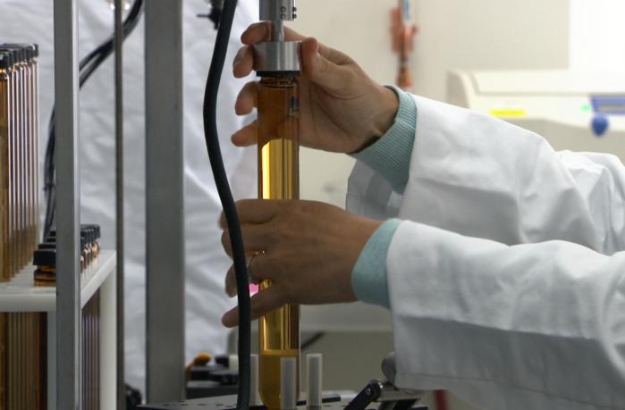 Person Working in a Lab