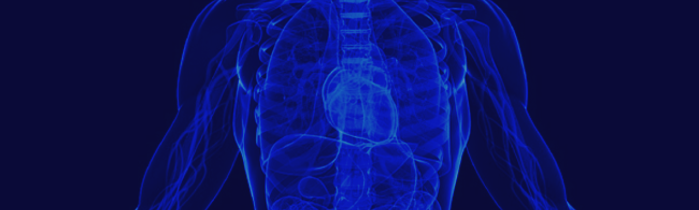 Colorized X-Ray Image