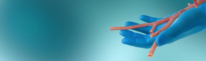 RestoreFlow Aortoiliac Allograft