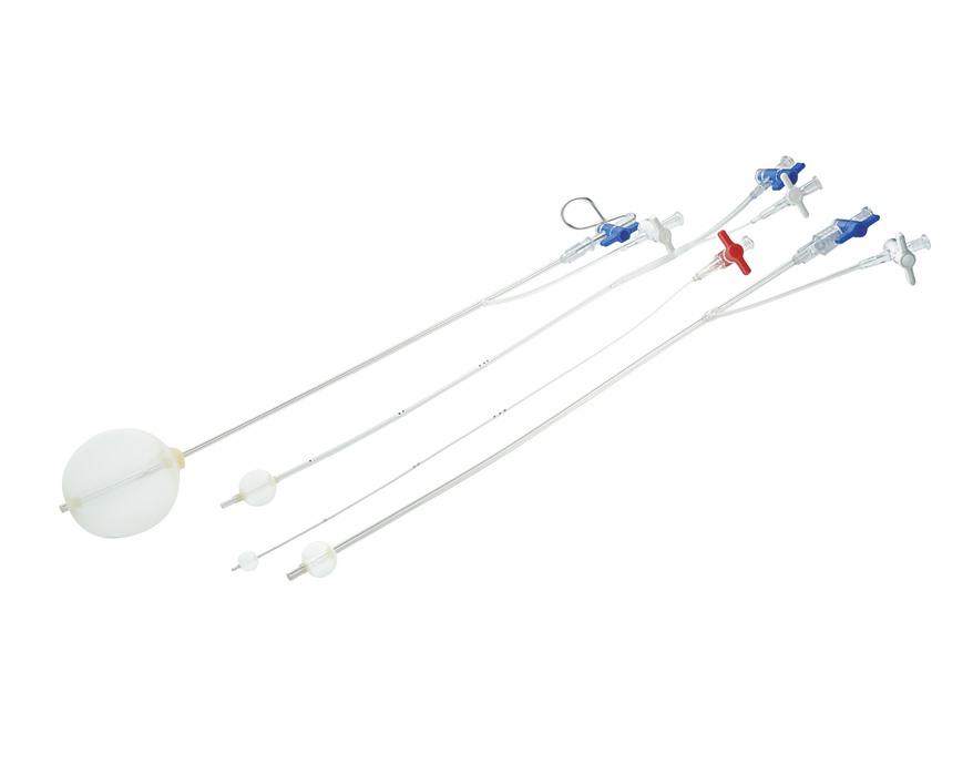 Pruitt Occlusion Catheters