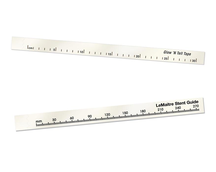 Glow 'N Tell and LeMaitre Stent Guide