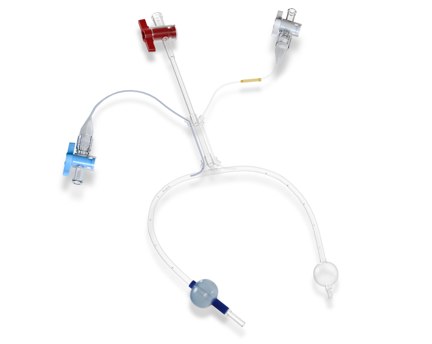 Pruitt F3 Outlying Carotid Shunt with T-Por